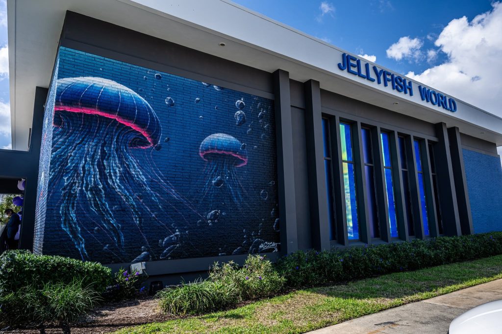 Jellyfish Museum Pompano Beach